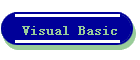 Visual Basic